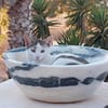 Schmusekater Anton