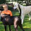 Mezzo, ein Schatz sucht das große Glück!