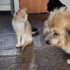 Peta und Luda, einfach bezaubernd