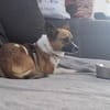 Schüchterne Seele sucht Halt