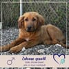 David - ich suche eine Familie