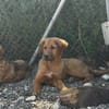David - ich suche eine Familie