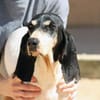 Liebenswerte Diana sucht Familie