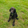 Bently einfach nur toll