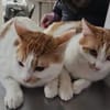 Copper & Monchi Verspieltes Dreamteam