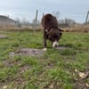 Linse sucht einen Einzelplatz
