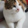 Luna W~ 1,5 Jahre sucht ihren Menschen