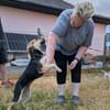 Freddy, liebevoller Mischlingswelpe