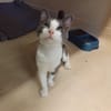 PAB28925 BERRY
