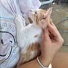 ✨️ MOO ✨️ 🐱