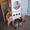 Luna wartet auf ein Zuhause für immer