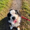 MUFFIN - ich suche meine Chance