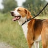 Ragnar will ein Neuanfang!