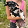 Mily sucht ein gutes Zuhause