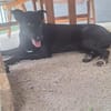 💙Dario💙 sucht seine Familie