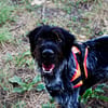 Athos