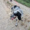 Murphy möchte endlich geliebt werden