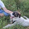 Jana - sanft und gute Seele sucht Familie