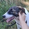 Jana - sanft und gute Seele sucht Familie