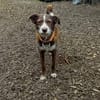 Unser Sonnenschein Kira