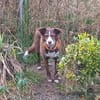Unser Sonnenschein Kira