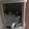 Odin m~2J such liebevolles zuhause