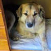 Neele ist so offen, föhlich + so lieb!