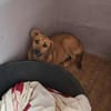 Theo - er muss in Ruhe ankommen