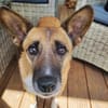 FEEBEE sucht ruhiges, liebes Zuhause