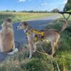 GIULI * verschossen in ihre Sommersprossen