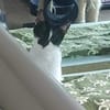 Thea Freundliches Katzenmädel sucht Familie