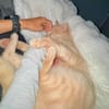 Cappuccino, feinfühliger Schmusekater, ca. 3 Jahre *in 47803