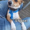 STÖPSEL