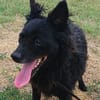 Liebenswerte Dama sucht euch