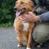 Shanto - kinderliebes Dreibein