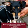 Welpenbub Mauro aus Mülheim am der Ruhr sucht sein Glück