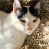 Florian, verschmuster Familienfreund, *in 55271 Stadecken