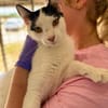 Florian, verschmuster Familienfreund, *in 55271 Stadecken