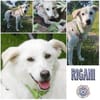 RIGANI  * eine Lady mit Tiefgang