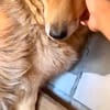 Loki braucht Zeit, Geduld, Liebe