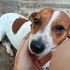 Ebby  wartet auf ihre zweite Chance