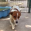 Ebby  wartet auf ihre zweite Chance