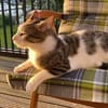 Lounis - Kleiner Charmeur sucht dich