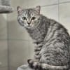 Purzel u. Peppino