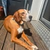 freundl, mittelgroße Dörthe in Köln sucht