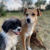 MOANA, fein, klug und chamant sucht