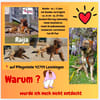 Die liebe 💕Raija 💕sucht ihre Menschen