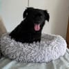 💖Casimira💖 sucht ein schönes Zuhause