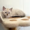 Snowy (reservé)