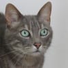 LEON (Réservé)
